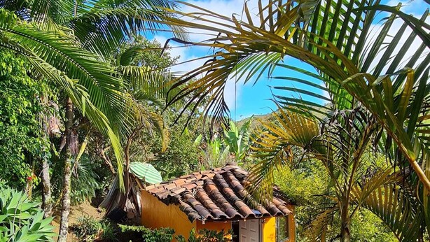 A small yellow building with a tiled roof, surrounded by lush greenery and palm trees. - Athaka'i (Concepción)