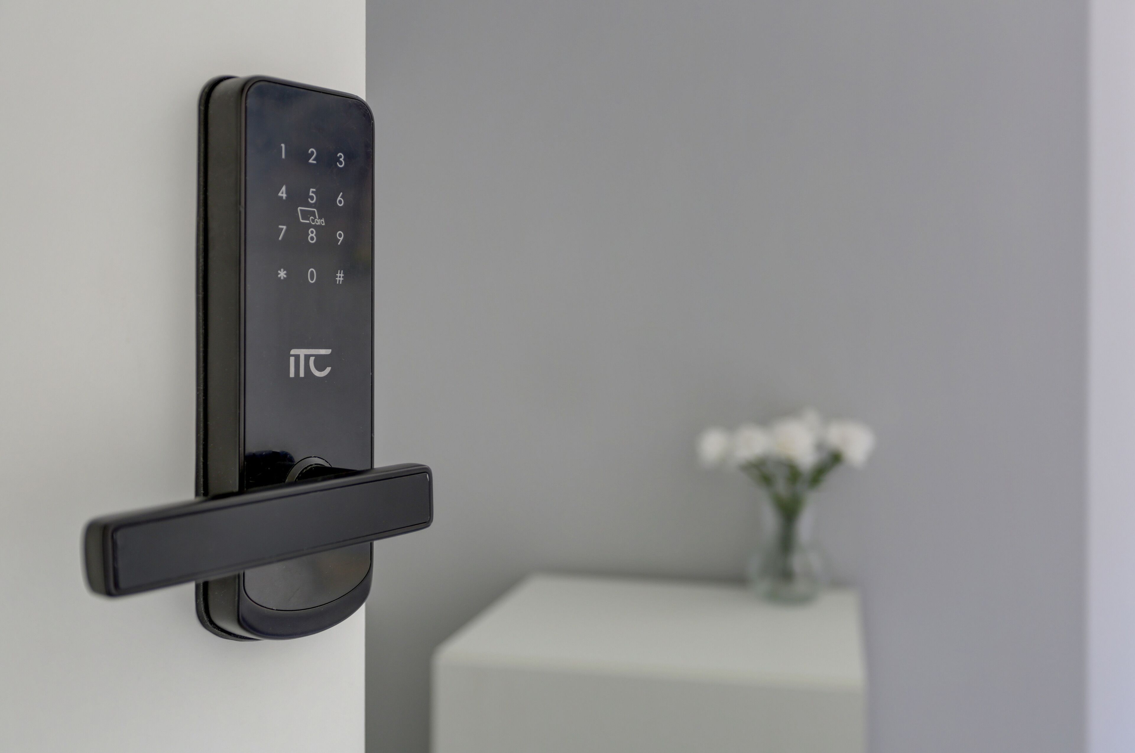 Photo - Voyager House Termini - Home and More