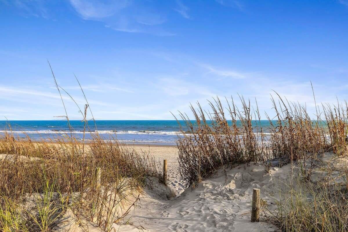 A sandy beach with a clear sky and ocean in the background.