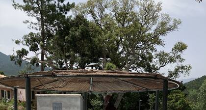 Villa climatisée - 4 chambres - piscine chauffée - proche plages & riviÚre