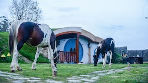 Horseback riding