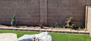 Property grounds - Desert Rose Garden With Outdoor Private Pool!! (Glendale)