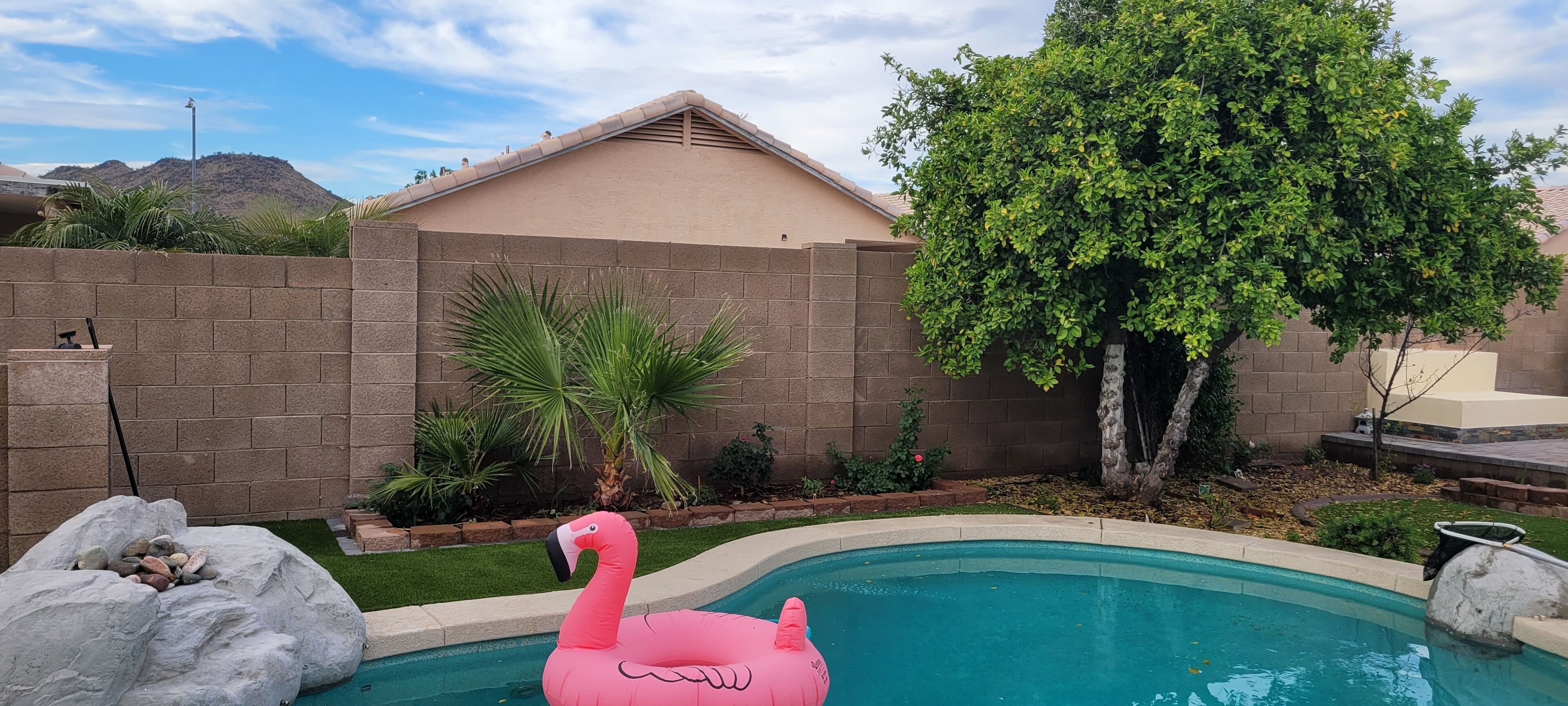 Desert Rose Garden With Outdoor Private Pool!!