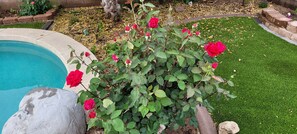 Exterior detail - Desert Rose Garden With Outdoor Private Pool!! (Glendale)