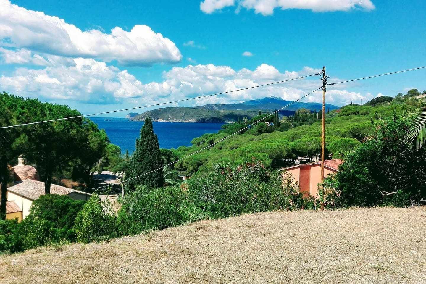 Un paysage côtier offrant une vue sur la mer, avec de la végétation et quelques bâtiments.