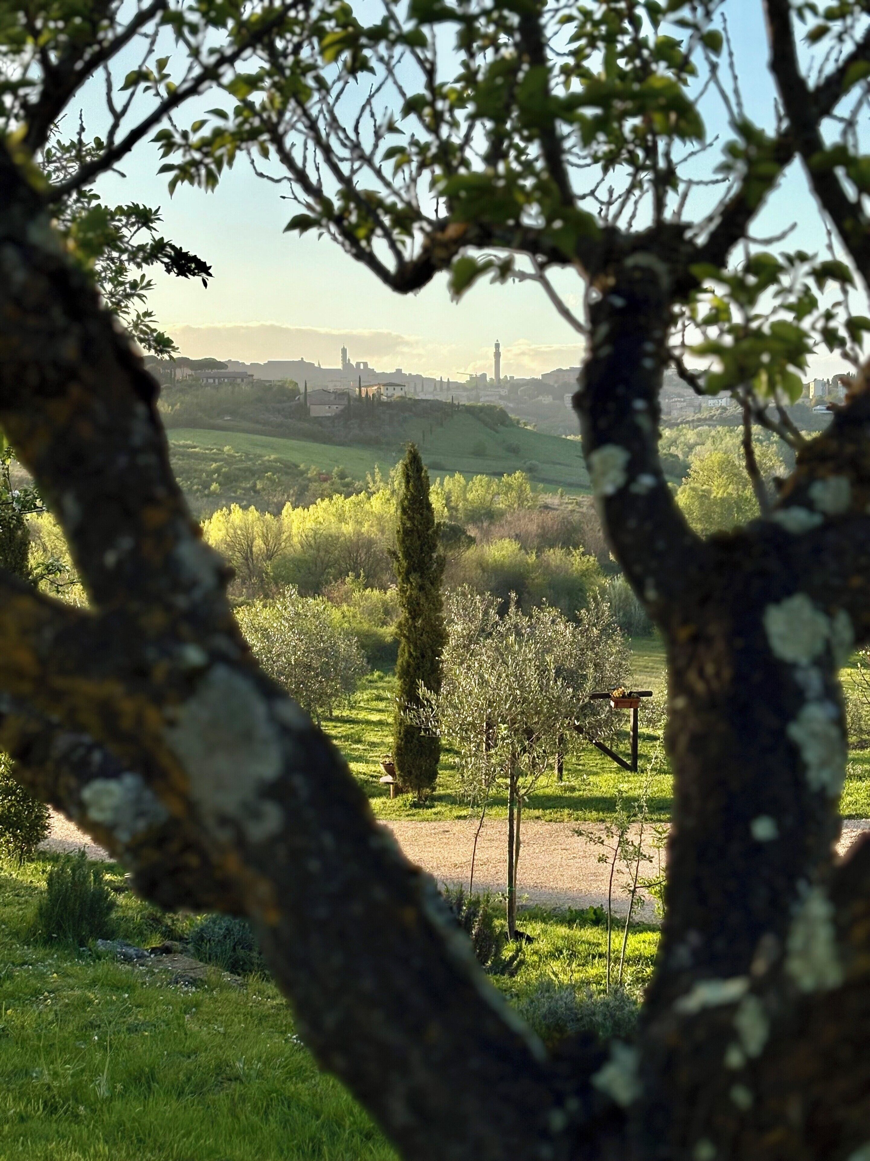 Foto - Agriturismo La Corte del Sole