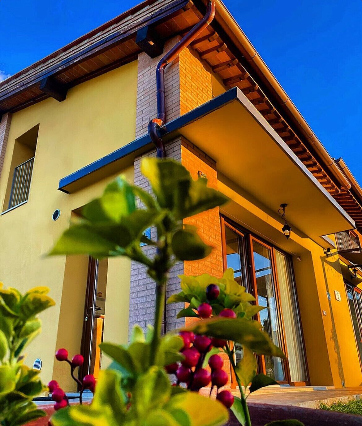 Foto - Agriturismo La Corte del Sole