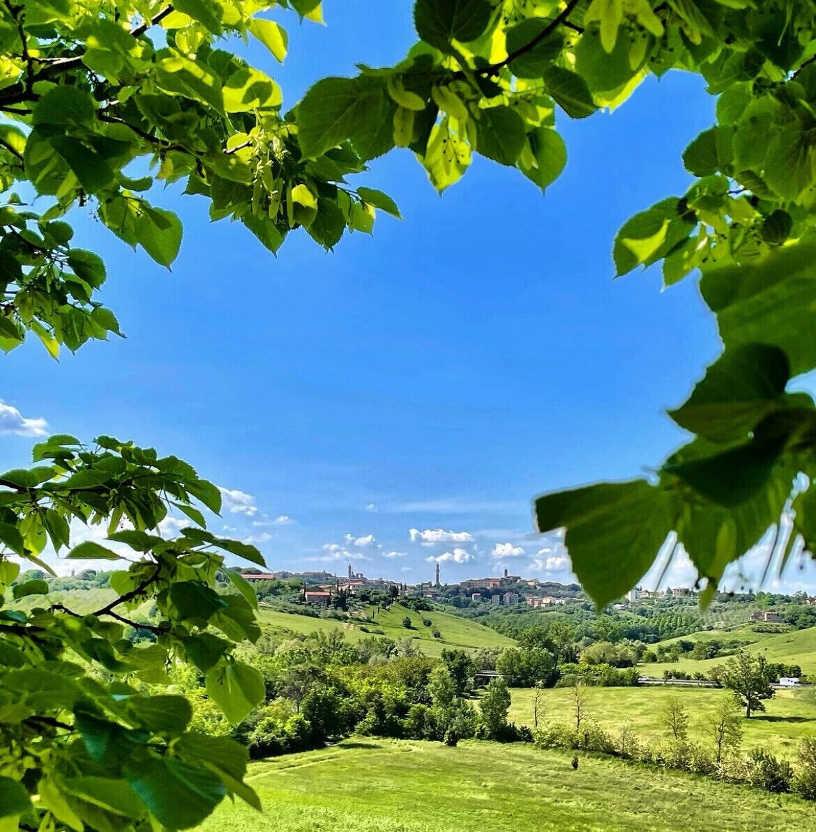 Foto - Agriturismo La Corte del Sole