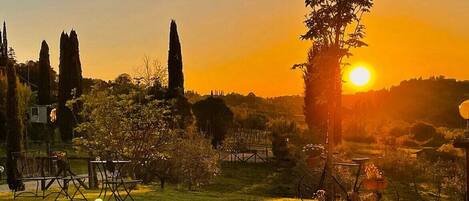 Blick auf den Garten