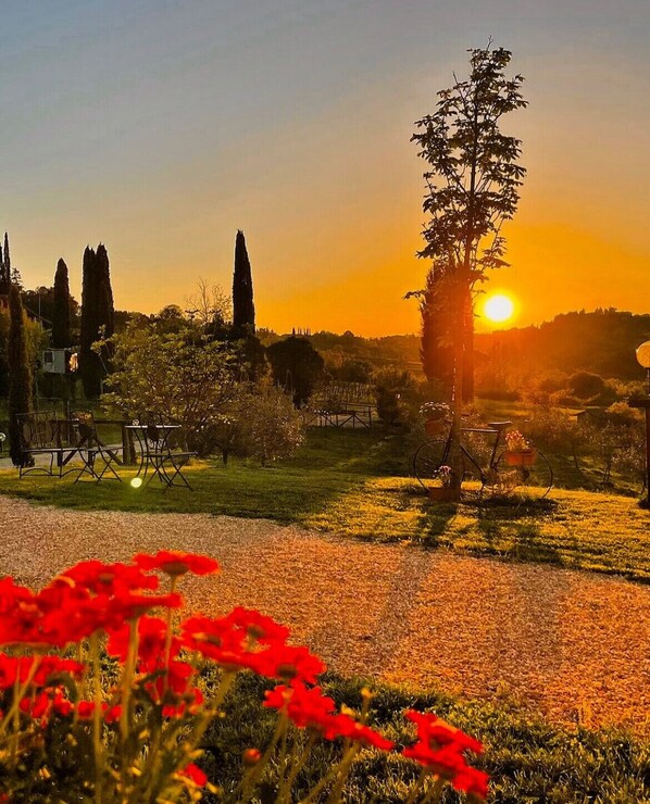 Blick auf den Garten