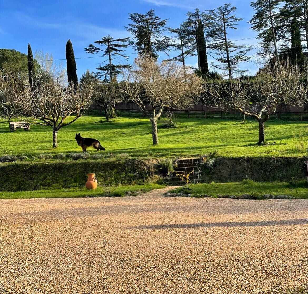 Foto - Agriturismo La Corte del Sole