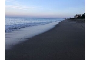 On the beach