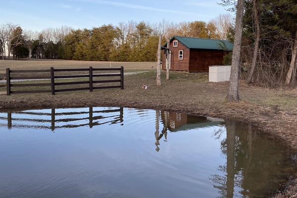 Stocked pond near cabin