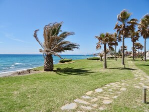 Ein Weg führt zu einem Strand mit Palmen und blauem Himmel.