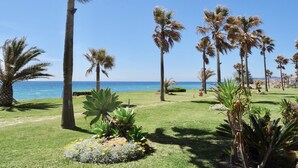 Un giardino con palme, un prato e vista sull'oceano.