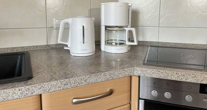 Winter magic in the Hasetal, vacation home Becksvoort-Noll, barrier-free