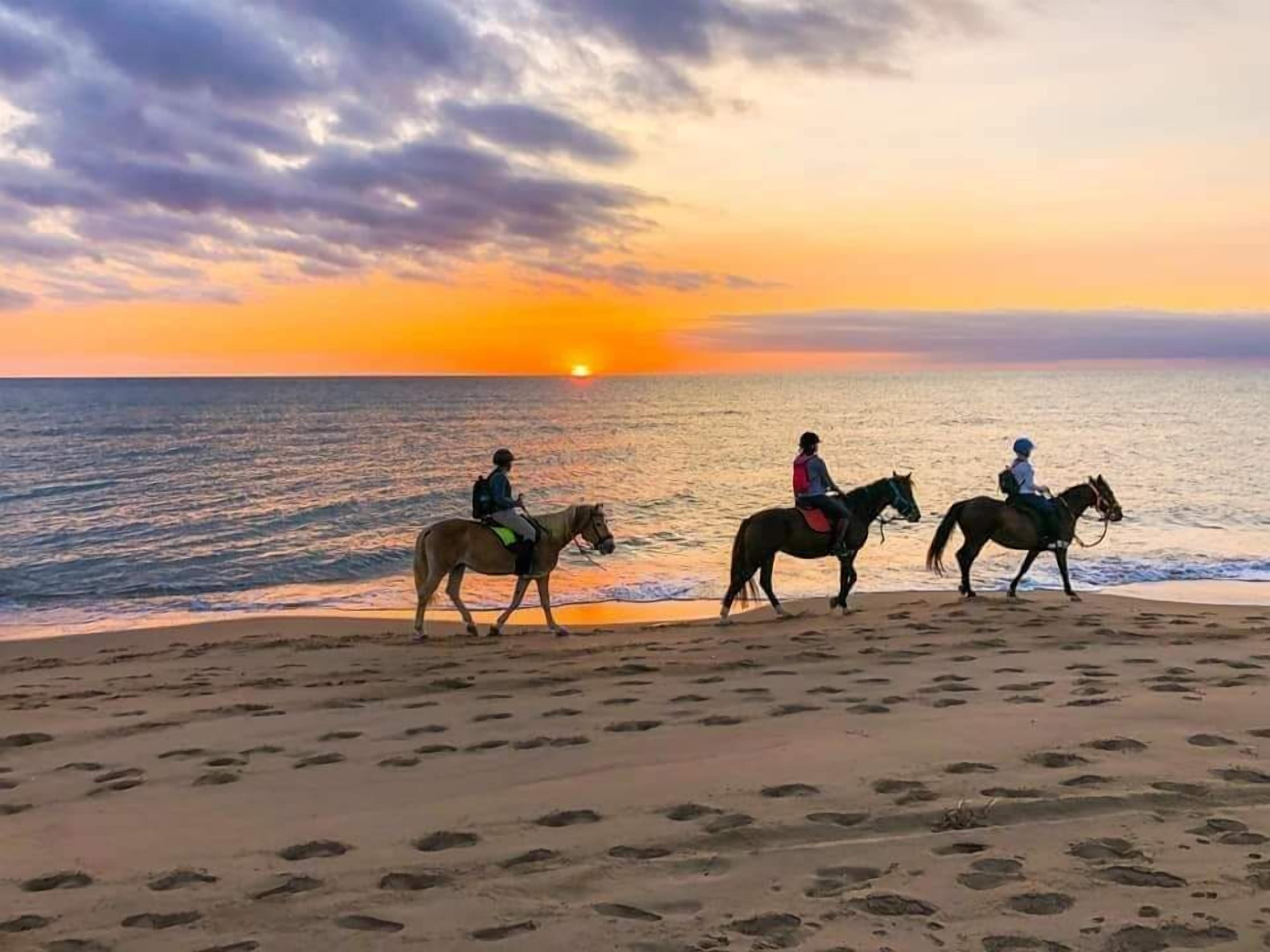 Deux personnes à cheval sur une plage au coucher du soleil.