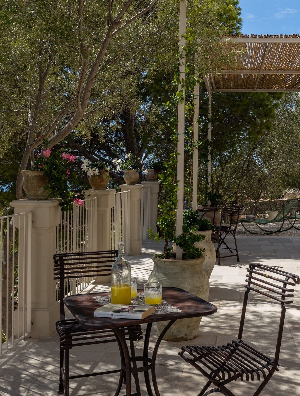 Un espace extérieur aménagé avec une table et des chaises, entouré de plantes en pot et agrémenté d’une pergola.