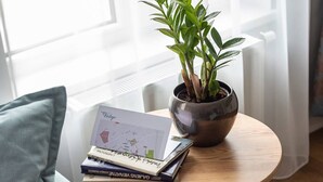 Um quarto aconchegante com uma mesa redonda de madeira, um vaso de planta e uma pilha de livros.
