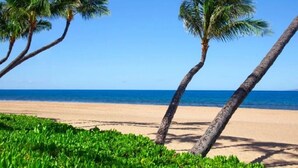 A beach with palm trees and a clear blue sky.