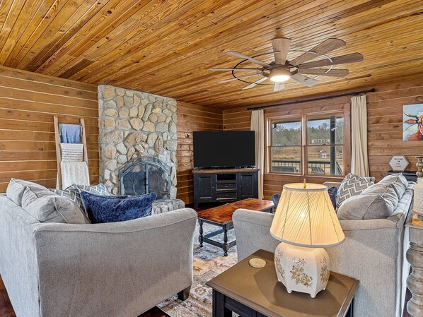 Televisión y chimenea 