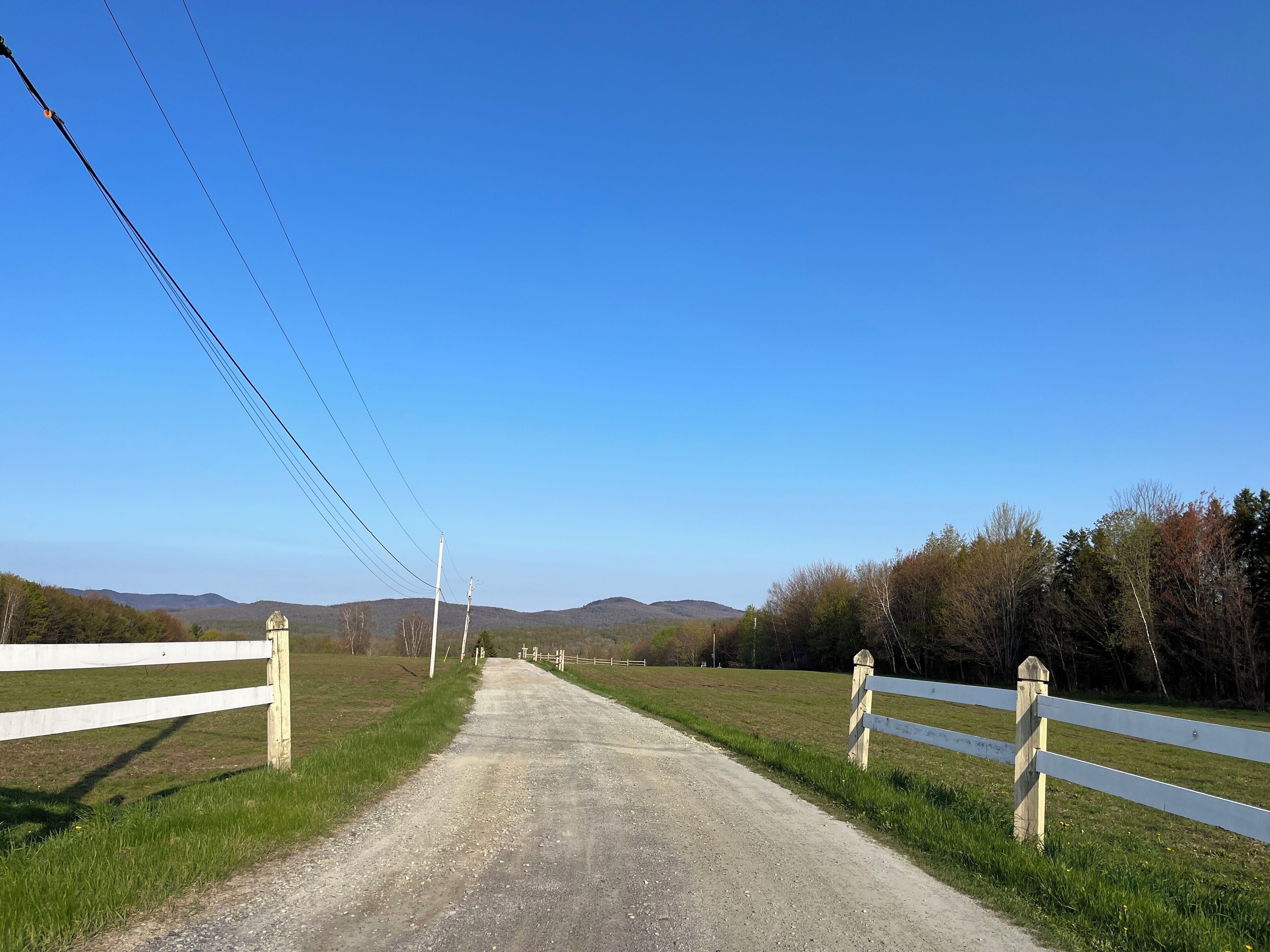 A rural road flanked by white fences, leading towards distant hills under a clear blue sky.