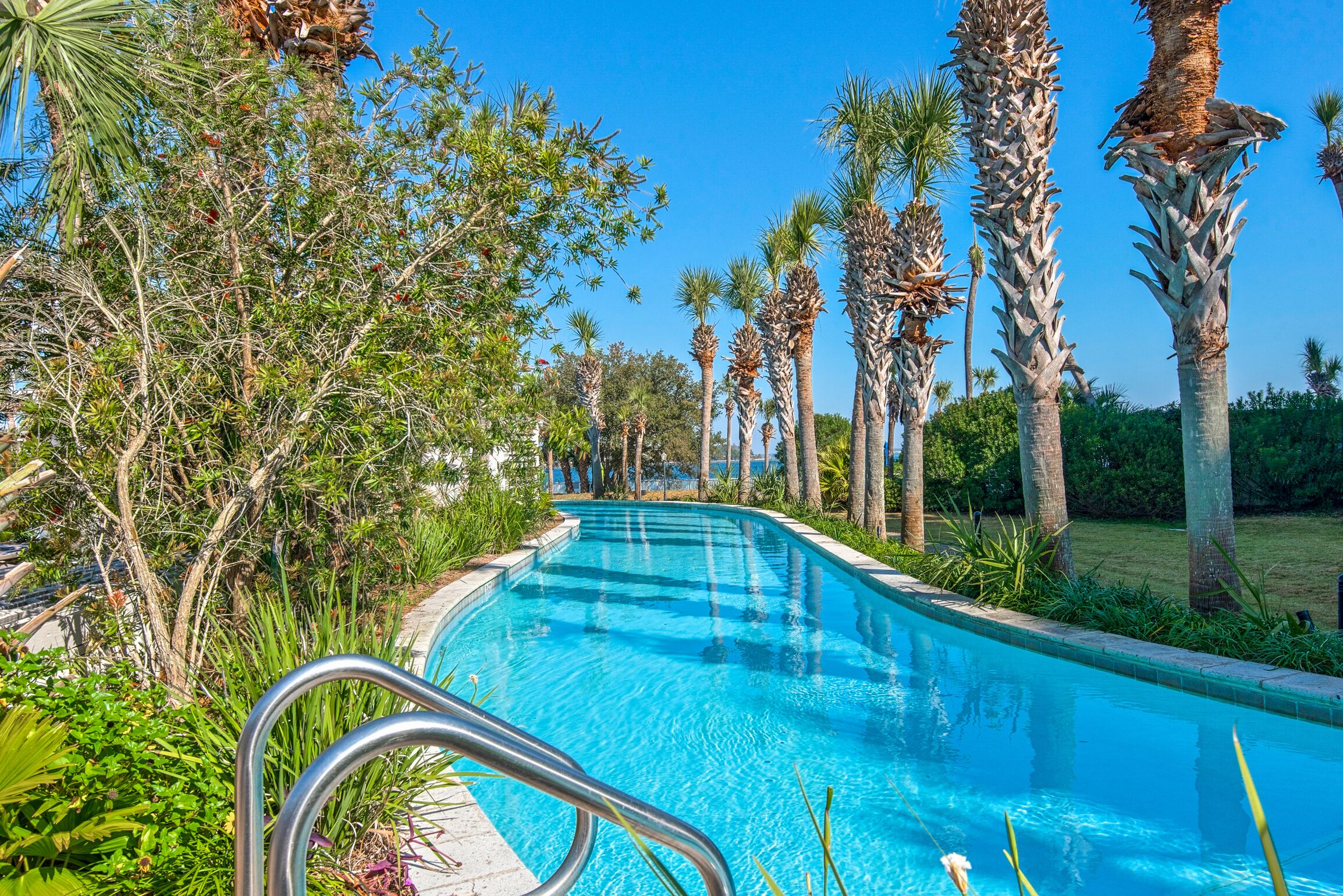 Una piscina rodeada de altas palmeras y abundante vegetación.