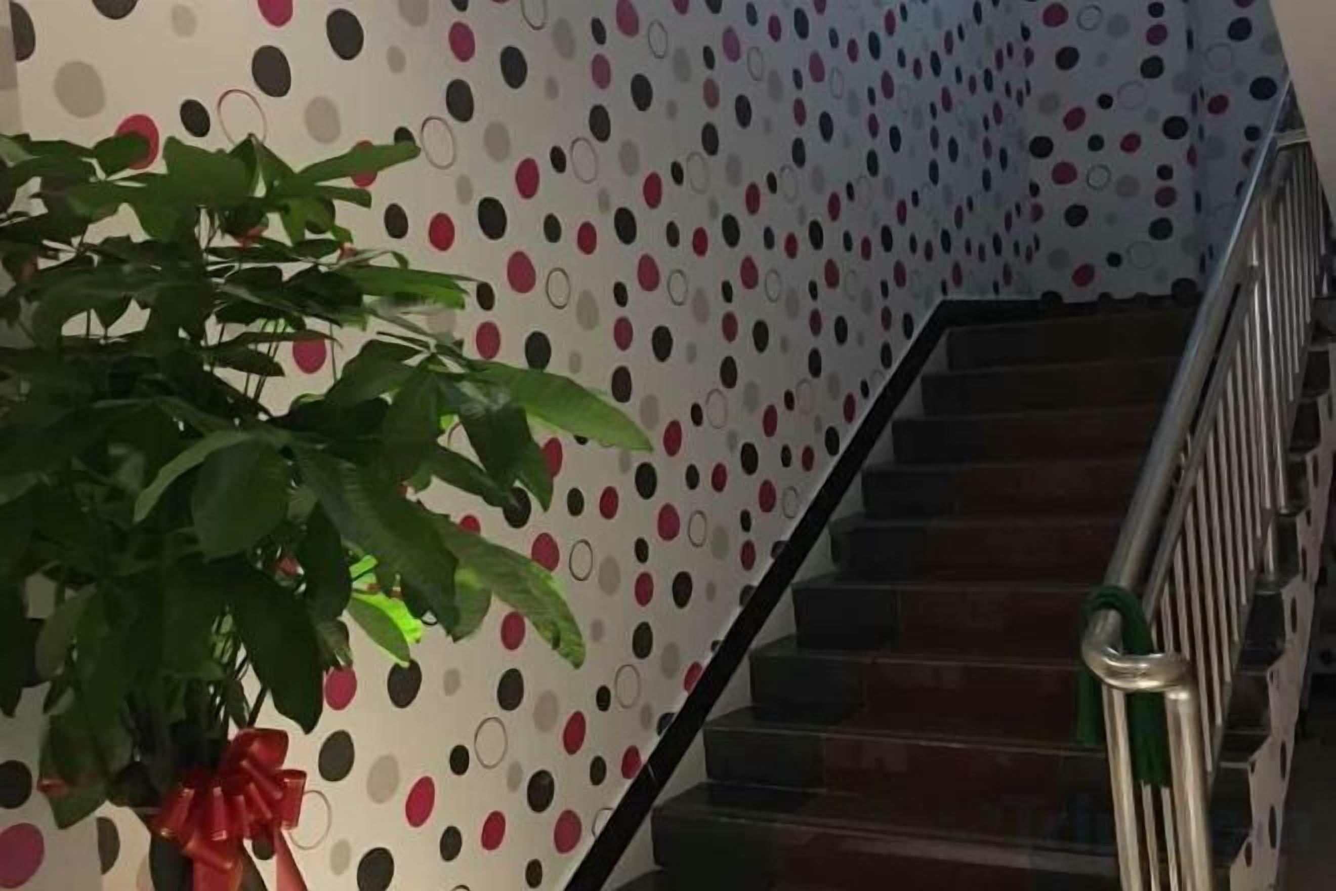 Una escalera con un estampado de lunares en la pared, una planta en maceta con un lazo rojo y un pasamanos de metal.