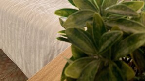Basic Studio | Laptop workspace, bed sheets - Pelicanos Apartments (La Paz)