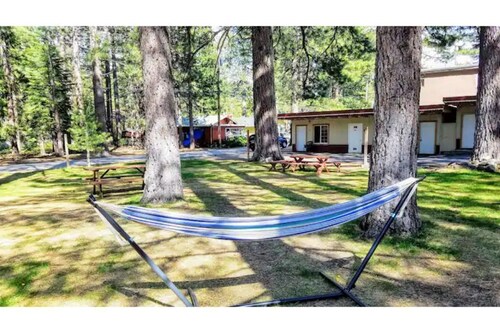 11-The Fallen Leaf pet friendly Studio #11