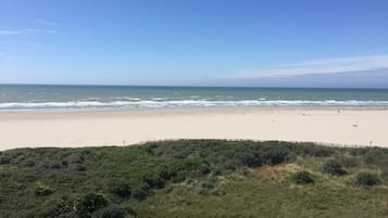 海滩