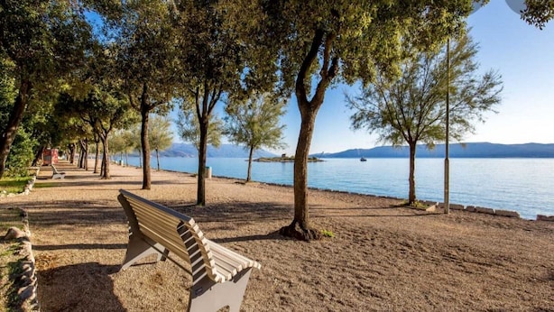 Un banco sobre una playa pedregosa con árboles y vistas a una masa de agua tranquila.