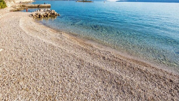 Una playa de guijarros con agua cristalina y montañas a lo lejos.