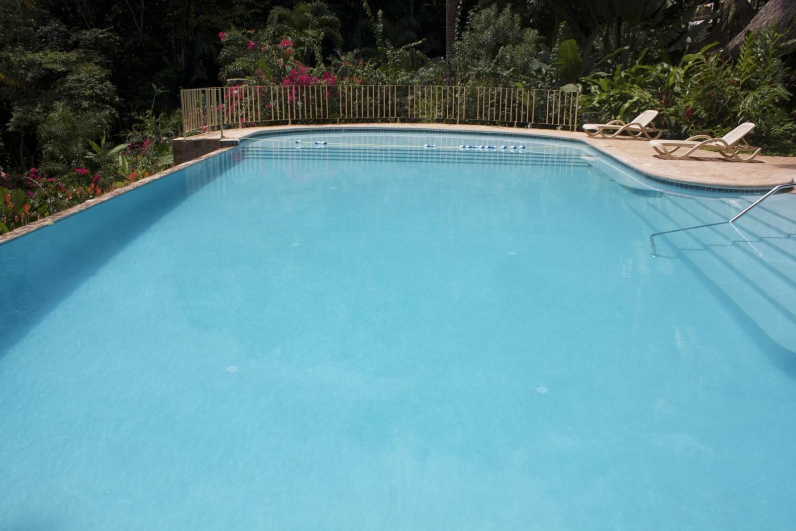 Ein klarer, blauer Swimmingpool mit einer Metallleiter, umgeben von einem Holzzaun und üppiger Bepflanzung.