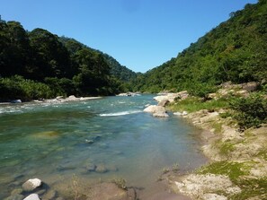 Tumbonas y toallas de playa