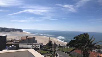 Ărea da propriedade