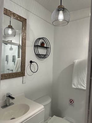Features a sleek sink, large mirror, and stylish pendant light.