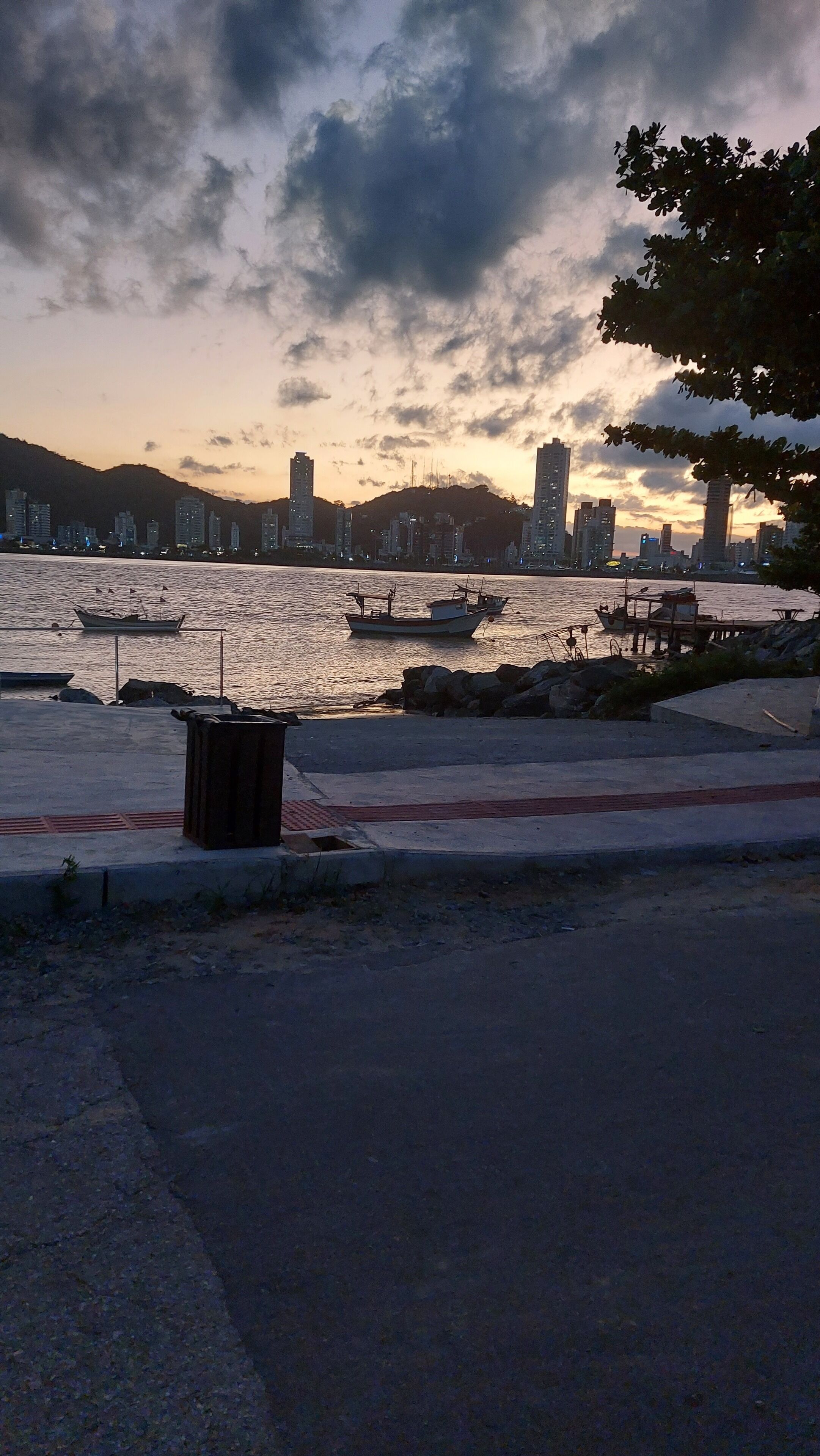 A waterfront view with boats, a dock, and a city skyline in the background.