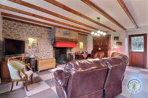 Télévision, cheminée, lecteur de DVD, chaîne hi-fi