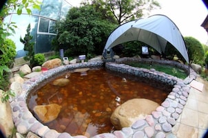 A pond with a stone border, a tent-like structure, and surrounding greenery.