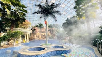 An indoor water feature with a circular pool, surrounded by tropical plants and a glass ceiling.