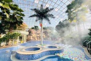 Una fuente de agua interior con piscina circular, rodeada de plantas tropicales y un techo de vidrio.