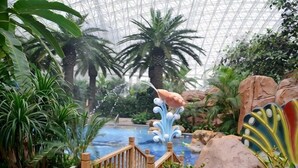 Ein üppiger tropischer Garten mit Wasserspiel, Palmen und einer Holzbrücke.