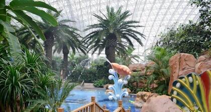 Aohua International Hot Spring Hotel
