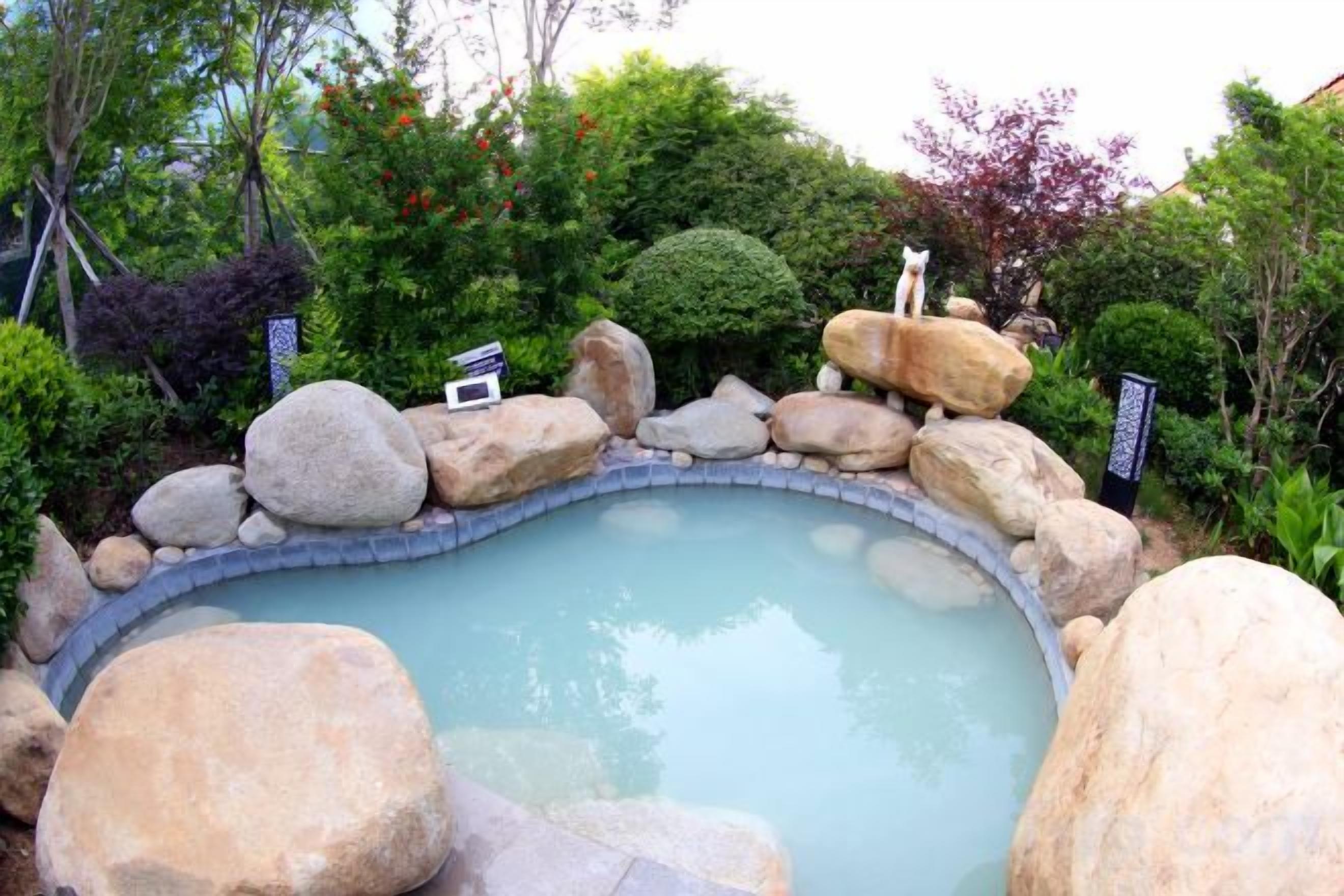 A small, round pool surrounded by large rocks and various plants.
