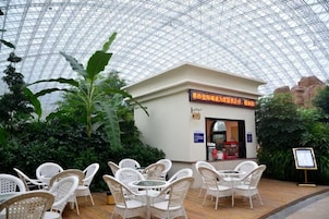 An indoor restaurant with a glass ceiling, surrounded by greenery and white wicker furniture.