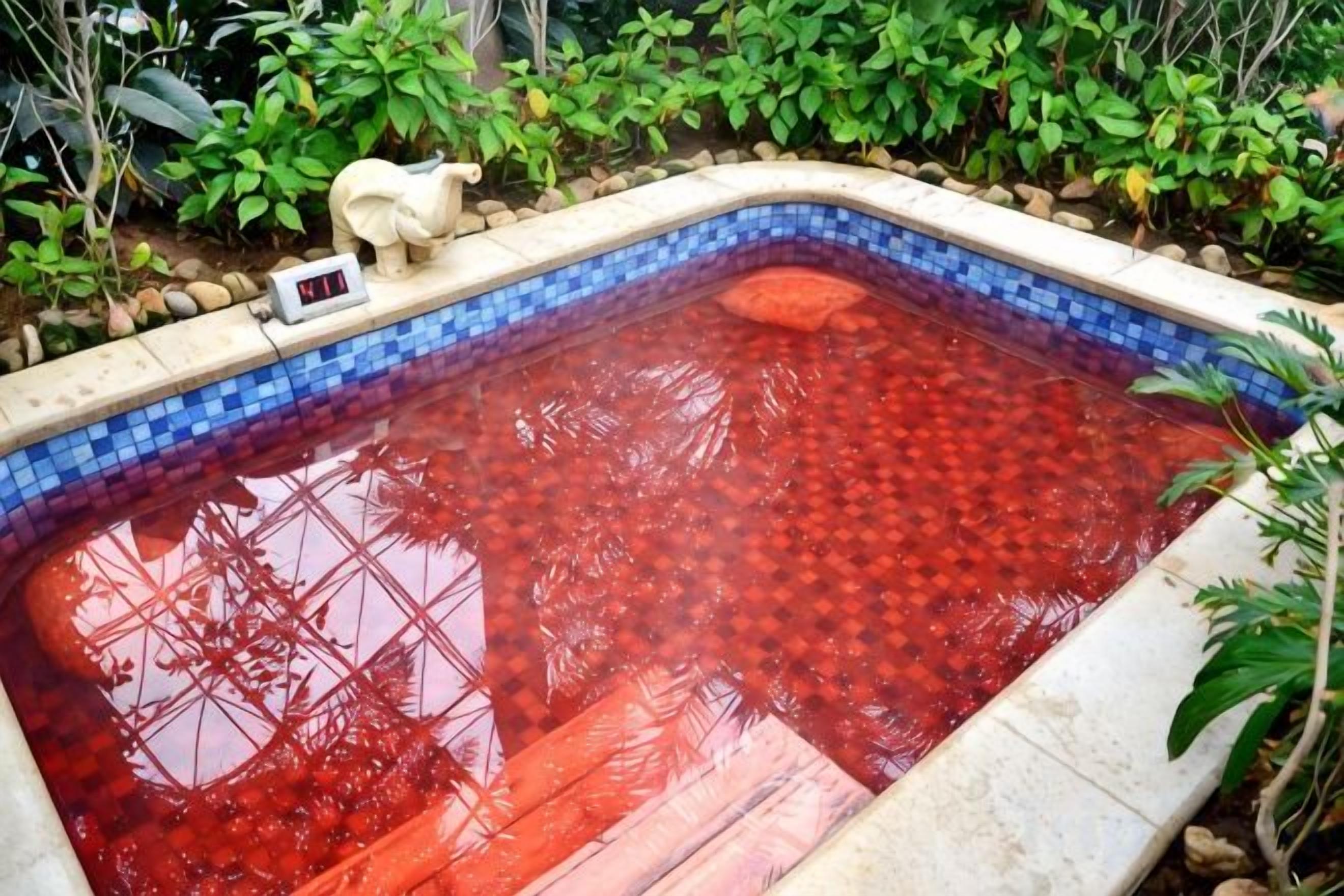 A swimming pool with a tiled edge and a water level indicator.