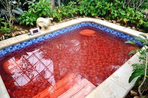 A swimming pool with a tiled edge and a water level indicator.