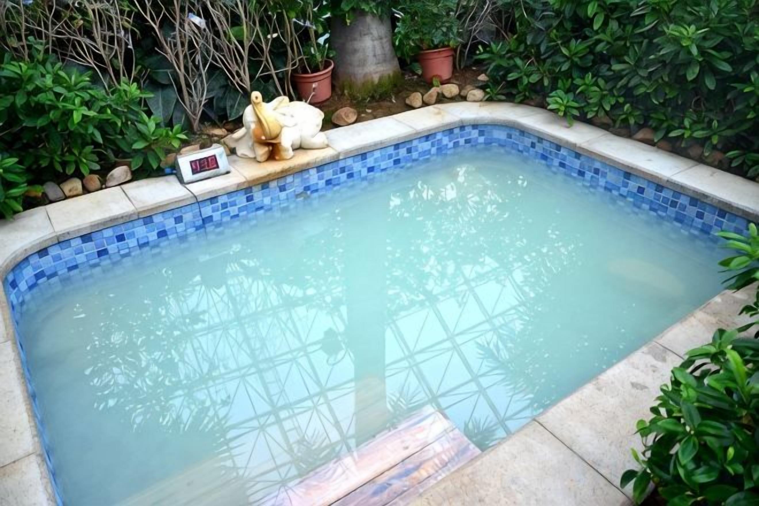 Una piscina rectangular con borde de azulejos, rodeada de follaje y plantas en macetas.