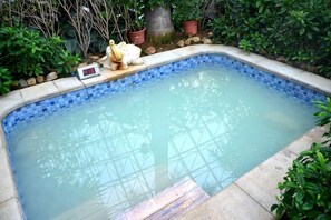 En rektangulär swimmingpool med en kant av kakel, omgiven av grönska och krukväxter.
